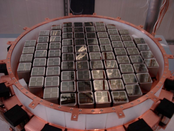 XENON 100 Bottom Array of Photomultiplier Tubes