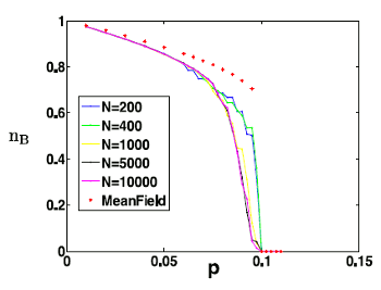 Density of nodes in state 'B' for Erd&ouml;s-R&eacute;nyi graphs and scale-free networks