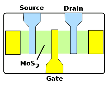 Molybdenite FET