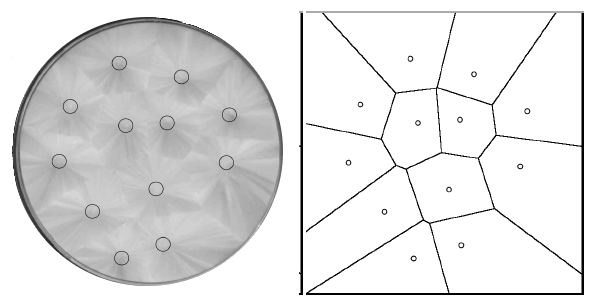 Figure caption