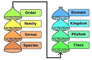 Figure caption