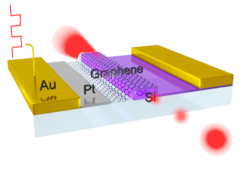 Silicon waveguide optical modulator using graphene