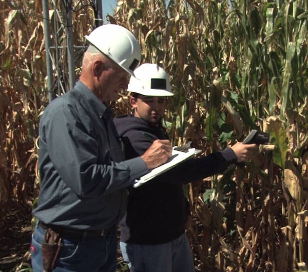 Crop measurements