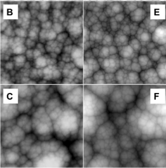 Cauliflower-like growth on a CVD surface