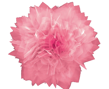 Nanoflower of germanium-sulfur (GeS)