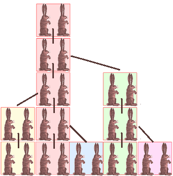Fibonacci rabbits sequence