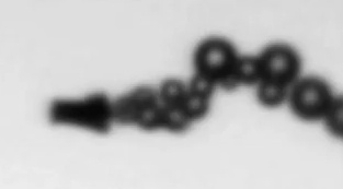 Bubble microrocket in operation.