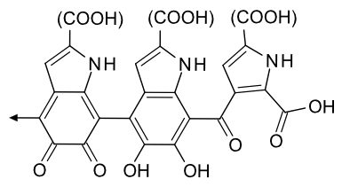 Structural unit of eumelanin