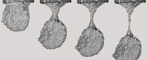 Figure caption