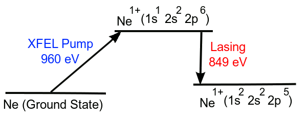 X-ray lasing in neon