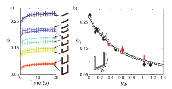 Packing of shaken staples
