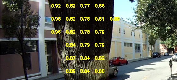 Optical flow calculation of time to tree contact.