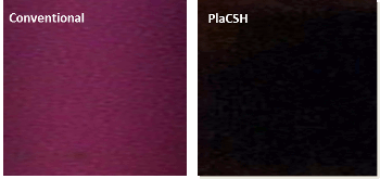 Chou Princeton absorption comparison