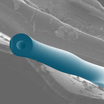 A microfluidic optomechanical resonator
