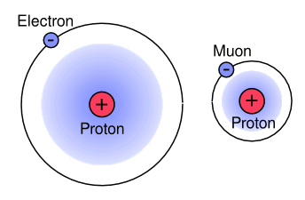 Muonic hydrogen