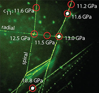 Measurements of the C11 elastic constant for spider silk.