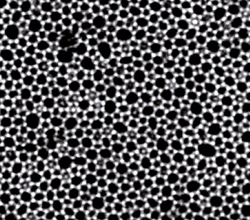 Micrograph of a thin silica glass sheet on graphene.