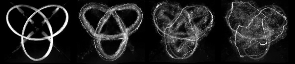 Temporal evolution of an air bubble vortex loop in water