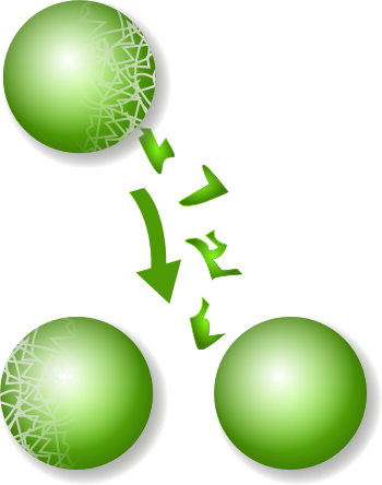 Artist's conception of the Banach-Tarski Paradox