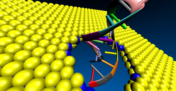 A DNA molecule passing through a molybdenum disulfide sheet.