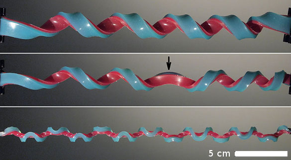 Harvard twisted composite helix and hemihelices