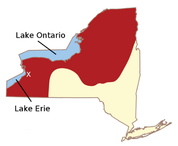 Lake-effect snow in New York State