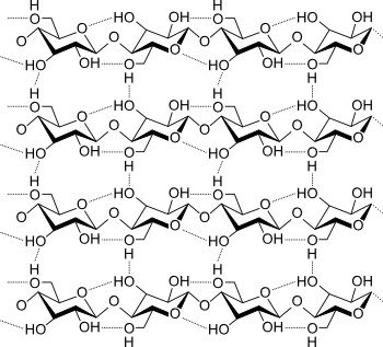 Polymer chains of cellulose