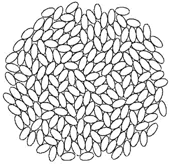 Monte Carlo simulation of packing of hard ellipses