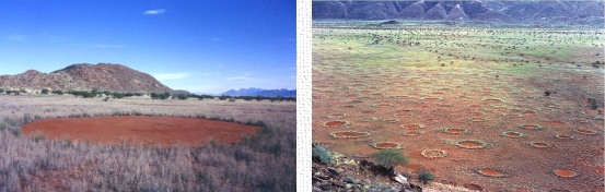 Fairy circles in the Marienfluss Valley, Namibia