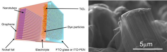 Figure caption