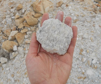 paleosoil specimen