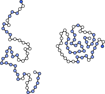 protein folding example