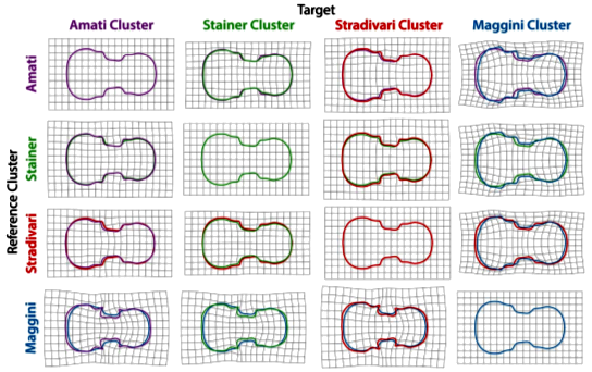 Thin plate splines of major violin clusters