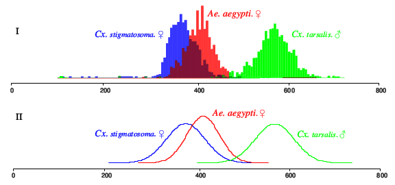Mosquito wingbeat audio spectrum