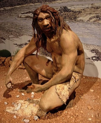 Homo heidelbergensis.jpg