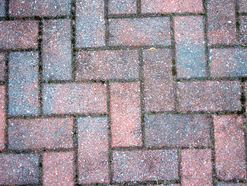 Patio blocks