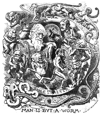 Evolution of Man from a Worm, with a caricature of Charles Darwin.