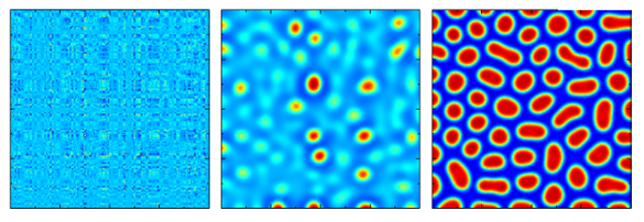 Development of a Turing reaction-diffusion pattern