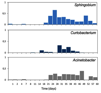 Bacterial colonisation in a brand new Nespresso Krups Inissia machine