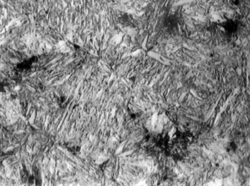 Metallograph of martensitic steel with 0.35% carbon