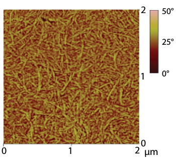 Phase AFM image of power paper.