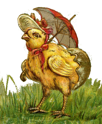 Easter chick