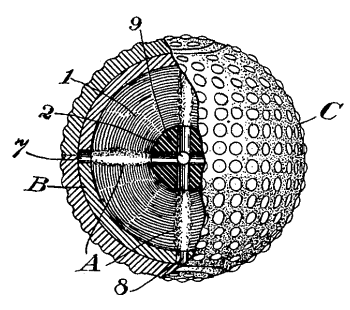 Figure one of US Patent No. 701,736, 'Golf-Ball,' by Eleazer Kempshall, June 3, 1902
