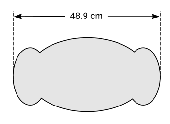 Top projected area of a human male