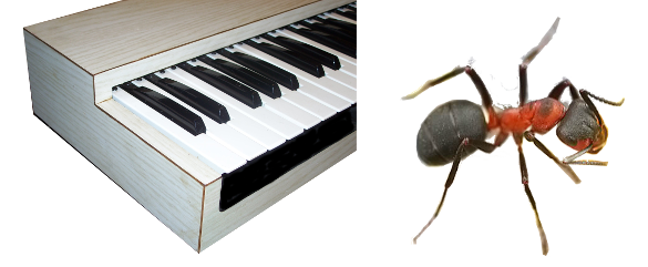 Formica material and Formica rufa insect