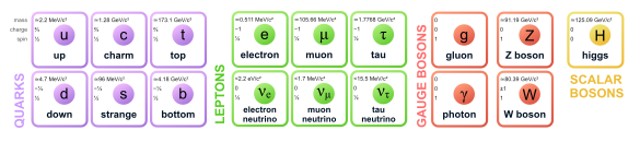Chart of the elementary particles as understood in the Standard Model