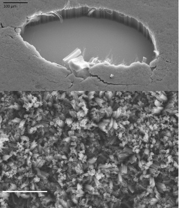 NASA vertically-aligned carbon nanotube absorber