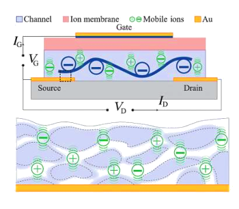 Schematic diagram of Columbia University ionic channel transistor