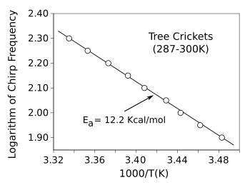 Arrhenius law for cricket chirps