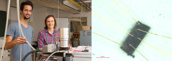 Sami Dzsaber and Silke B&uuml;hler-Paschen, TUW